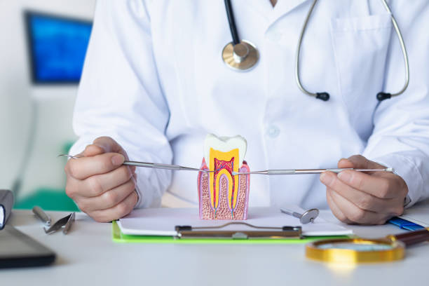 Best Emergency Dental Services for Seniors in Hazen, AR